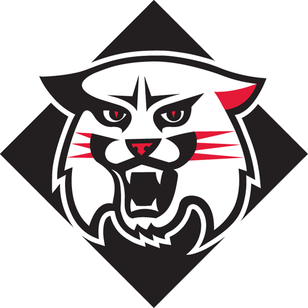 Davidson Wildcats 2010-Pres Alternate Logo iron on transfers for clothing